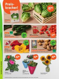 basic Prospekt woche 29 Seite 4