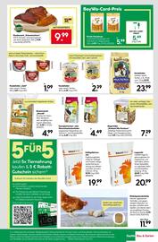 BayWa Prospekt woche 29 Seite 9