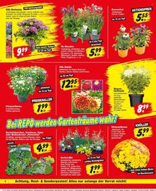 Repo Markt Prospekt woche 29 Seite 6
