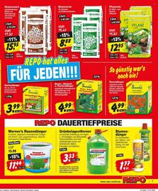 Repo Markt Prospekt woche 29 Seite 7