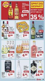 Famila Nord Ost Prospekt woche 29 Seite 21