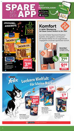Wasgau Prospekt woche 29 Seite 20
