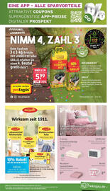 Wasgau Prospekt woche 29 Seite 21