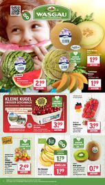 Wasgau Prospekt woche 29 Seite 8