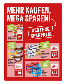Feneberg Prospekt Seite 10