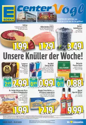 EDEKA Vogl Prospekt (gültig bis 19-07)