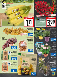 EDEKA Hahner Prospekt Seite 8