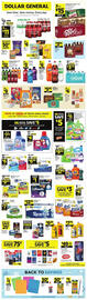 Dollar General Weekly Ad week 29 Page 1