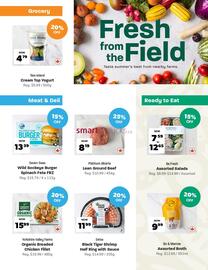 Blush Lane Organics flyer week 29 Page 4