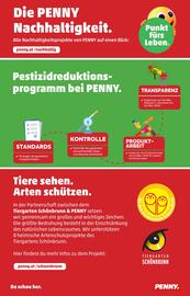 PENNY Flugblatt woche 29 Seite 32