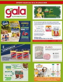 Volantino Gala Supermercati Pagina 25