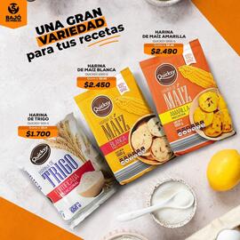 Catálogo Tiendas D1 Página 4