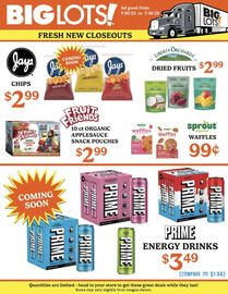 Big Lots Weekly Ad week 28 Page 1