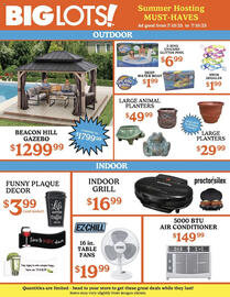 Big Lots Weekly Ad week 28 Page 2
