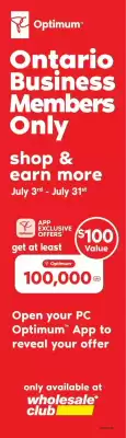 Wholesale Club flyer (valid until 31-07)