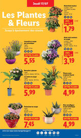 Catalogue Lidl semaine 29 page 29
