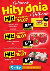 Delfin gazetka Strona 1