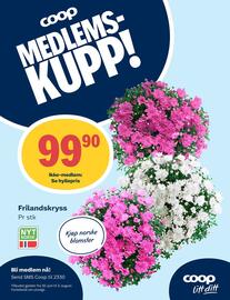 Coop Prix Kundeavis uke 29 Side 11
