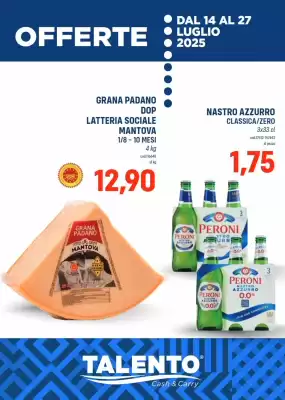 Volantino Talento Professional Store