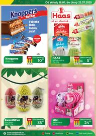 Tamda Foods leták týden 29 Strana 9