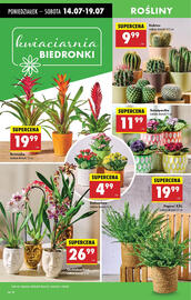 Biedronka gazetka tydzień 29 Strona 18