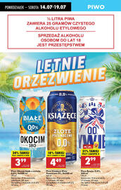 Biedronka gazetka tydzień 29 Strona 73