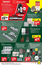 Lidl Flugblatt woche 29 Seite 35