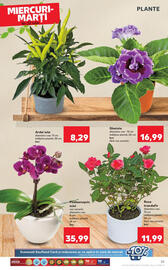 Catalog Kaufland săptămâna 29 Pagină 25