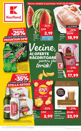 Catalog Kaufland săptămâna 29 Pagină 1