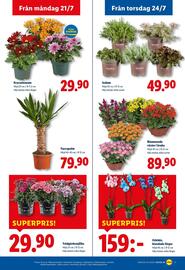 Lidl reklamblad vecka 30 Sida 18