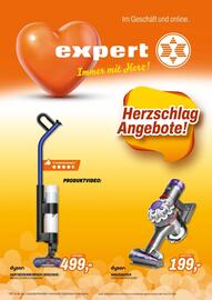 Expert Flugblatt Seite 1