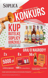Biedronka gazetka Strona 25