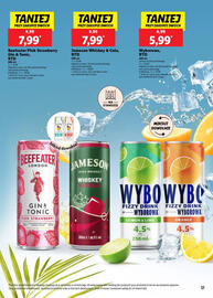 Lidl gazetka Strona 17