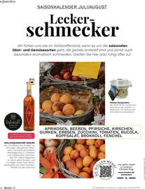 Müller Flugblatt Seite 68