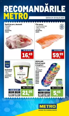 Catalog Metro (valid până la 20-07)
