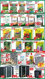Wreesmann Prospekt woche 29 Seite 7