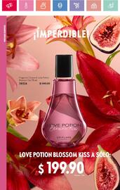 Catálogo Oriflame Página 72