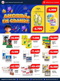 Catálogo Supermayorista Vital semana 29 Página 22
