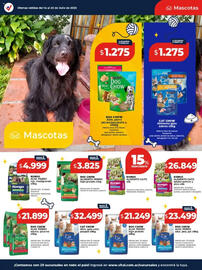 Catálogo Supermayorista Vital semana 29 Página 24