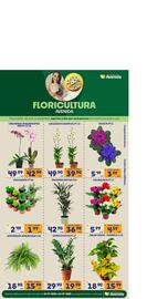 Catálogo Supermercados Avenida semana 29 Página 11
