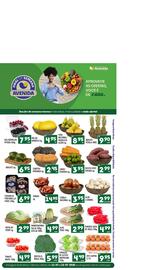 Catálogo Supermercados Avenida semana 29 Página 9