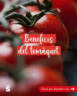 Folleto Sorli (válido hasta el 20-07)