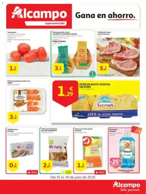 Folleto Alcampo supermercado (válido hasta el 29-07)