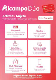 Folleto Alcampo Página 3