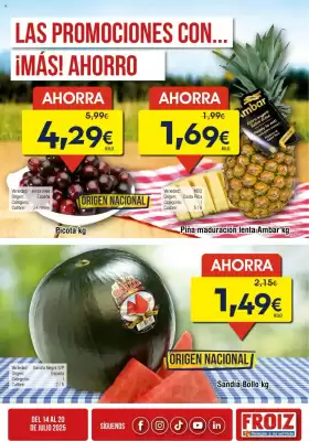 Folleto FROIZ (válido hasta el 20-07)