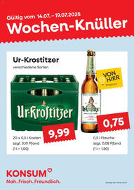 Konsum Leipzig Prospekt woche 29 Seite 1