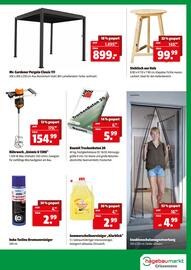 Eurogast Grissemann Flugblatt Seite 11