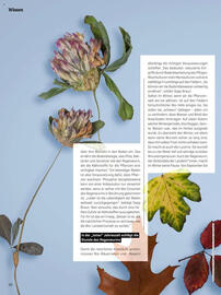 Denn's Biomarkt Flugblatt Seite 10
