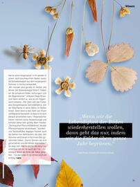 Denn's Biomarkt Flugblatt Seite 11