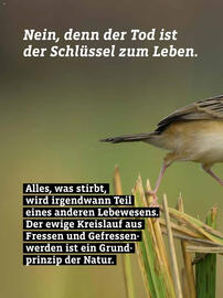 Denn's Biomarkt Flugblatt Seite 2
